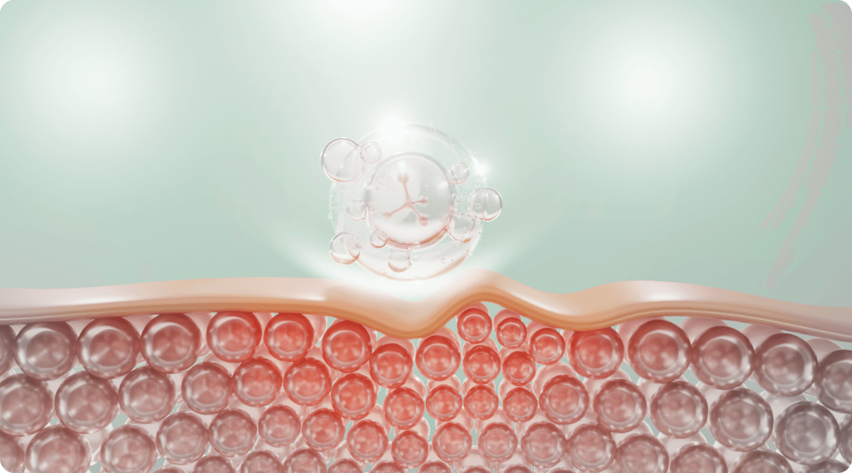Collagen Building Block